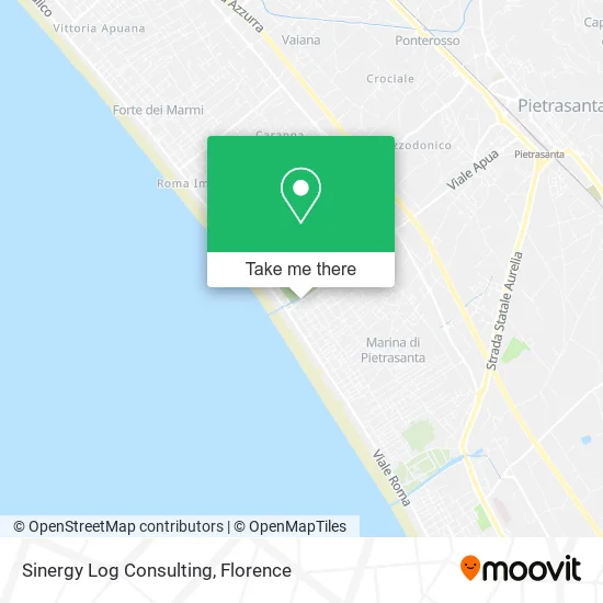 Sinergy Log Consulting map