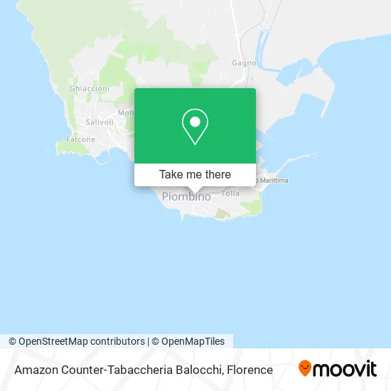 Amazon Counter-Tabaccheria Balocchi map