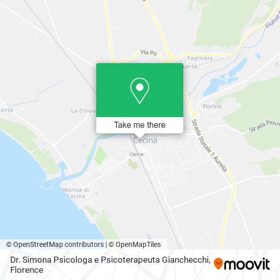 Dr. Simona Psicologa e Psicoterapeuta Gianchecchi map