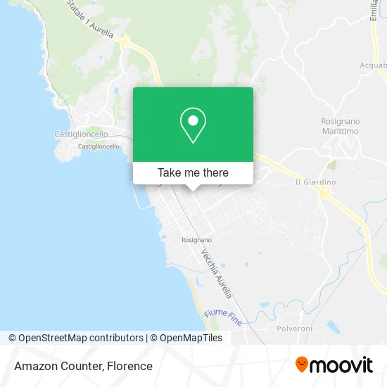 Amazon Counter map