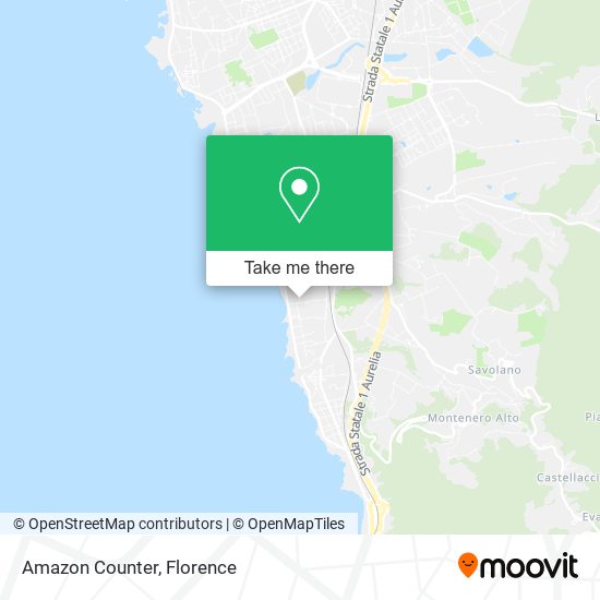 Amazon Counter map