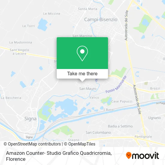 Amazon Counter- Quadricromia Graphic Studio map