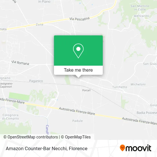 Amazon Counter-Bar Necchi map