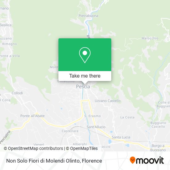 Non Solo Fiori di Molendi Olinto map