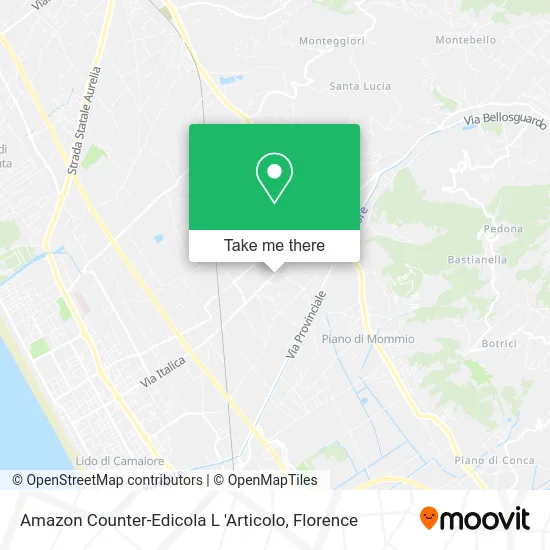 Amazon Counter-L'Articolo Newsstand map