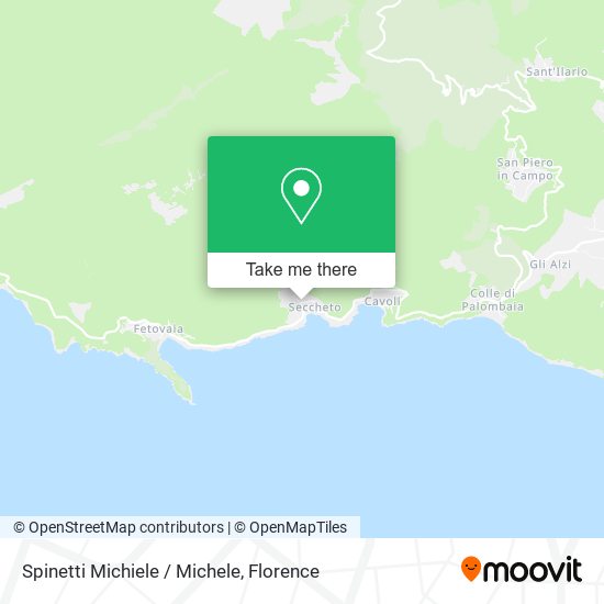 Spinetti Michiele / Michele map