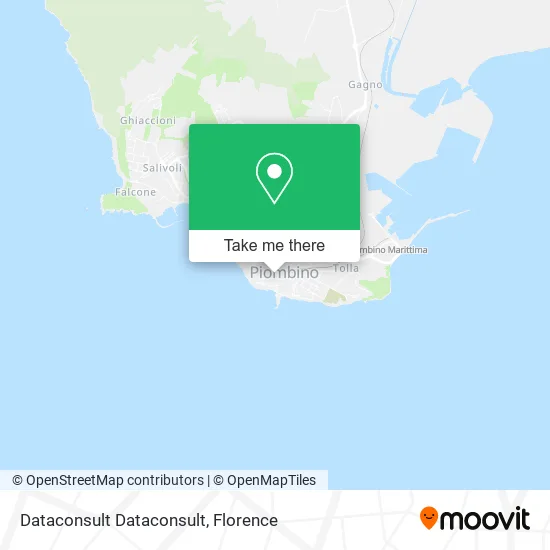 Dataconsult Dataconsult map