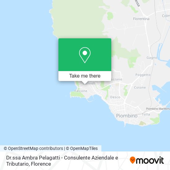 Dr.ssa Ambra Pelagatti - Consulente Aziendale e Tributario map