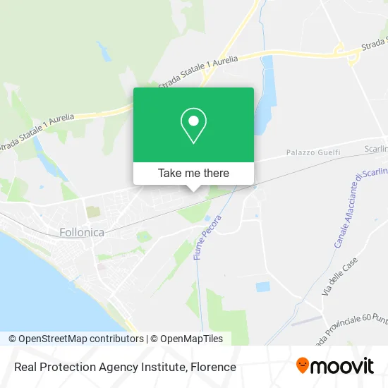 Real Protection Agency Institute map