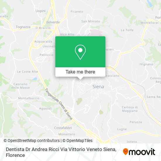 Dentista Dr Andrea Ricci Via Vittorio Veneto Siena map