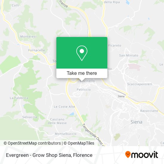 Evergreen - Grow Shop Siena map