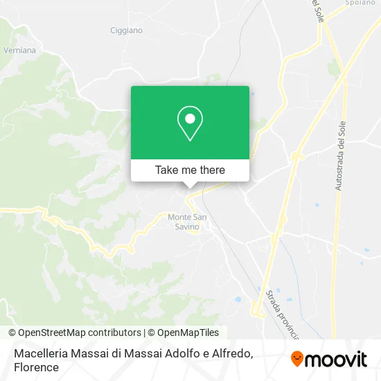 Macelleria Massai di Massai Adolfo e Alfredo map