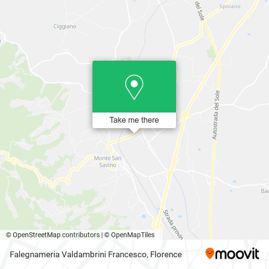 Falegnameria Valdambrini Francesco map