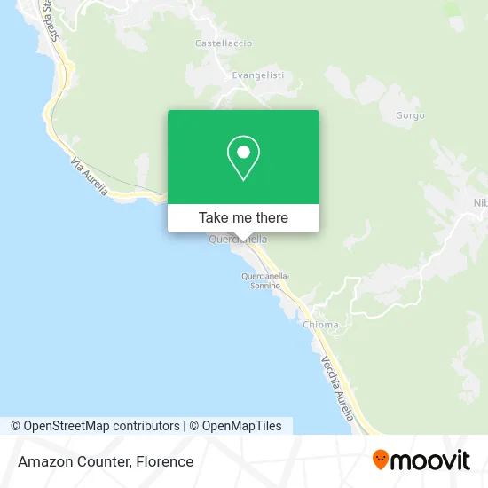 Amazon Counter map