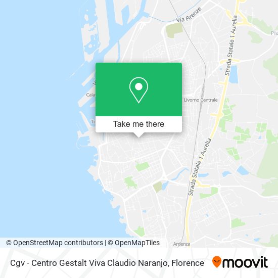 Cgv - Centro Gestalt Viva Claudio Naranjo map