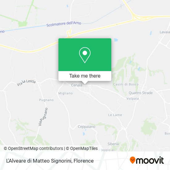 L'Alveare di Matteo Signorini map