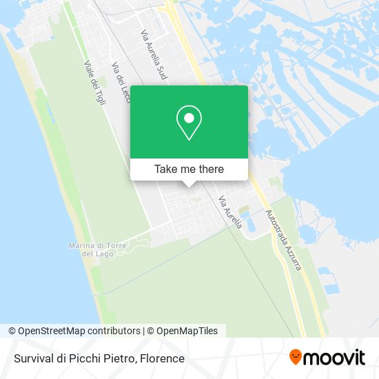 Survival di Picchi Pietro map