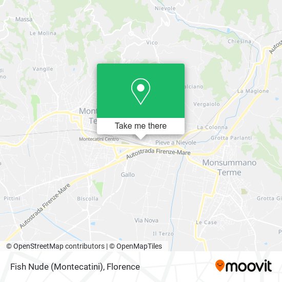 Fish Nude (Montecatini) map