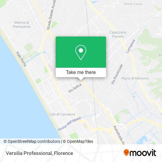 Versilia Professional map