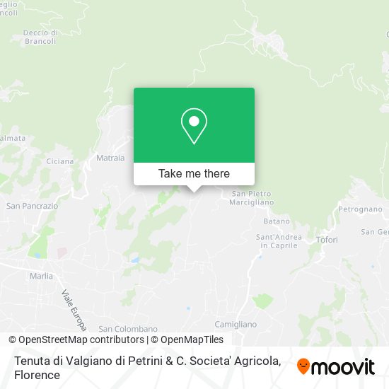 Tenuta di Valgiano di Petrini & C. Societa' Agricola map