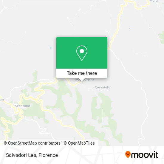 Salvadori Lea map