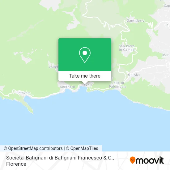 Societa' Batignani di Batignani Francesco & C. map