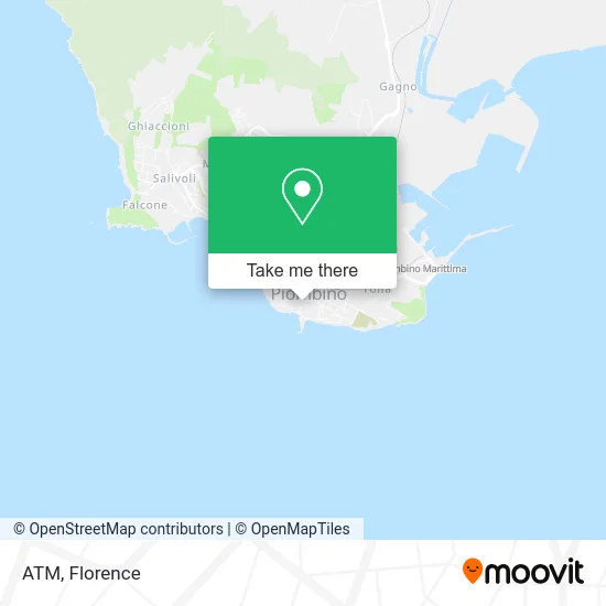 ATM map