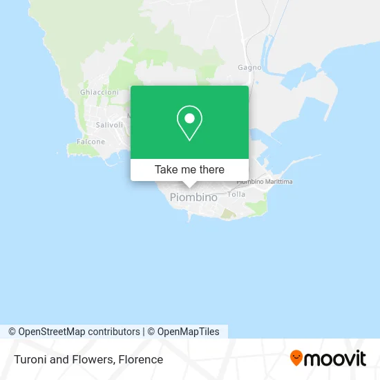 Turoni and Flowers map