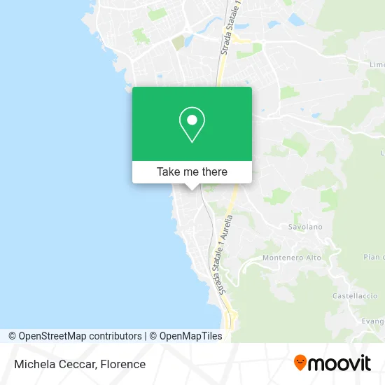 Michela Ceccar map