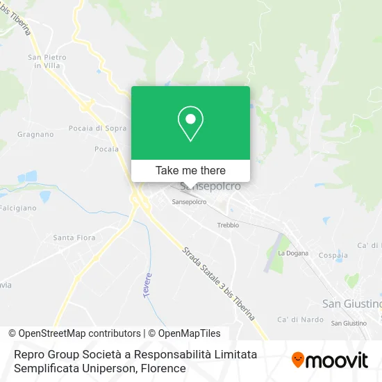 Repro Group Società a Responsabilità Limitata Semplificata Uniperson map