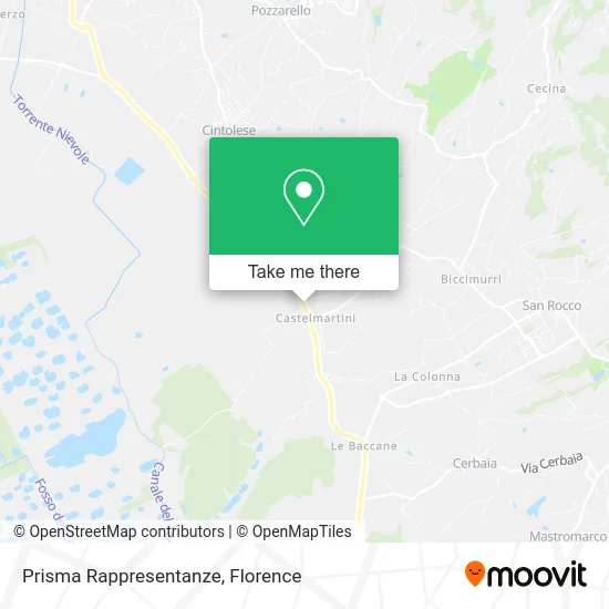 Prisma Representatives map