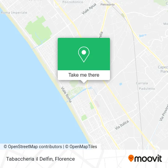 Tabaccheria il Delfin map