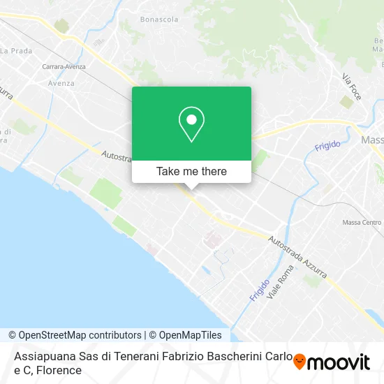 Assiapuana Sas by Tenerani Fabrizio Bascherini Carlo & Co. map