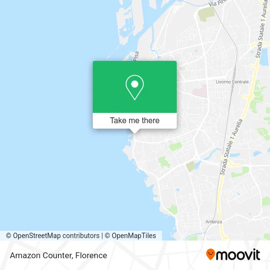 Amazon Counter map