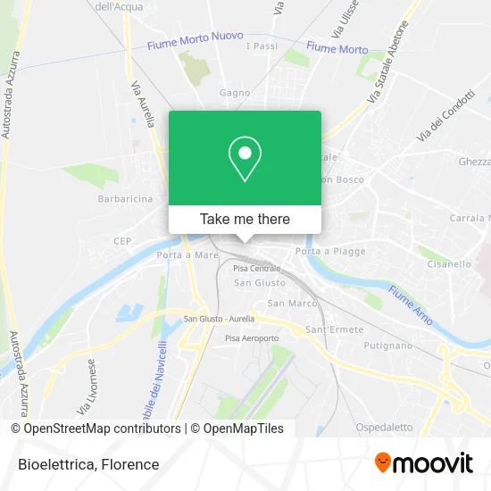 Bioelettrica map