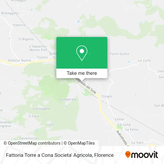 Fattoria Torre a Cona Societa' Agricola map