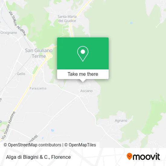 Alga di Biagini & C. map