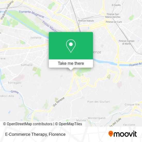 E-Commerce Therapy map