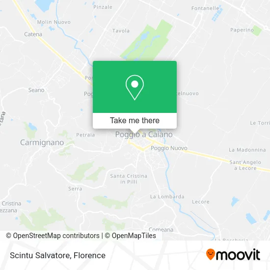 Scintu Salvatore map