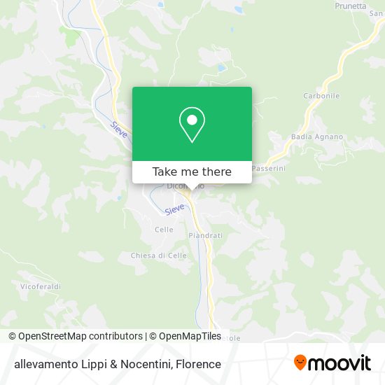 allevamento Lippi & Nocentini map