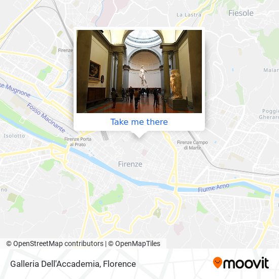 Galleria Dell'Accademia map