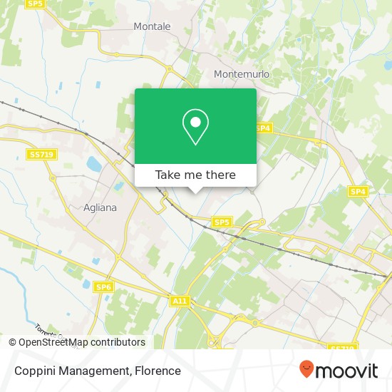 Coppini Management map