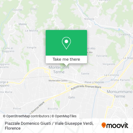 Piazzale Domenico Giusti / Viale Giuseppe Verdi map
