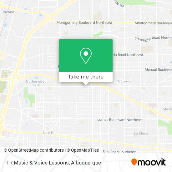 TR Music & Voice Lessons map