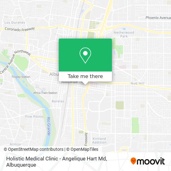 Holistic Medical Clinic - Angelique Hart Md map