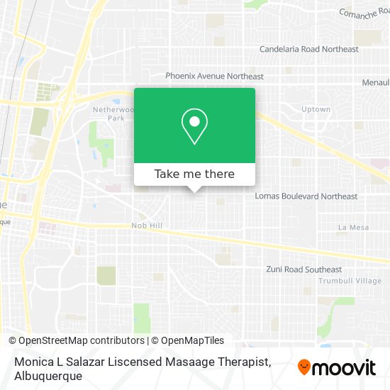 Mapa de Monica L Salazar Liscensed Masaage Therapist