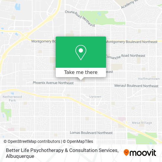 Better Life Psychotherapy & Consultation Services map