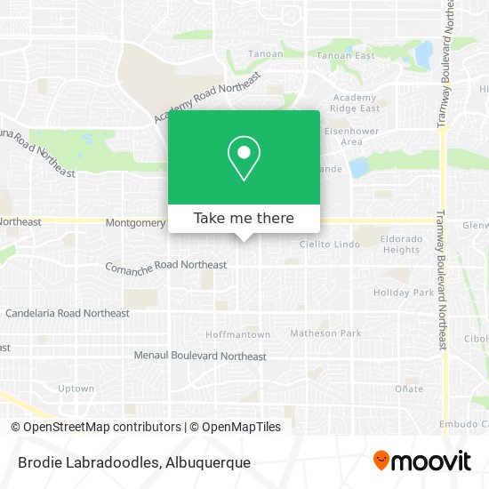 Mapa de Brodie Labradoodles