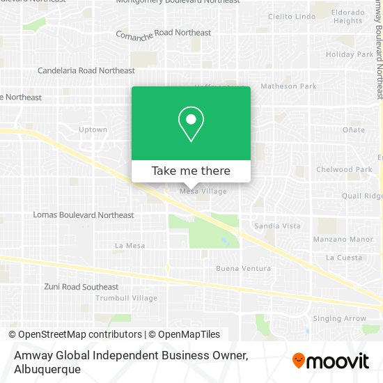 Amway Global Independent Business Owner map
