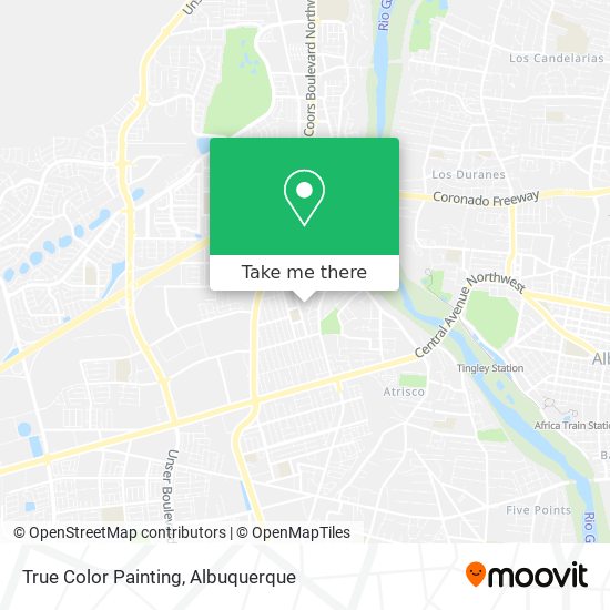 True Color Painting map